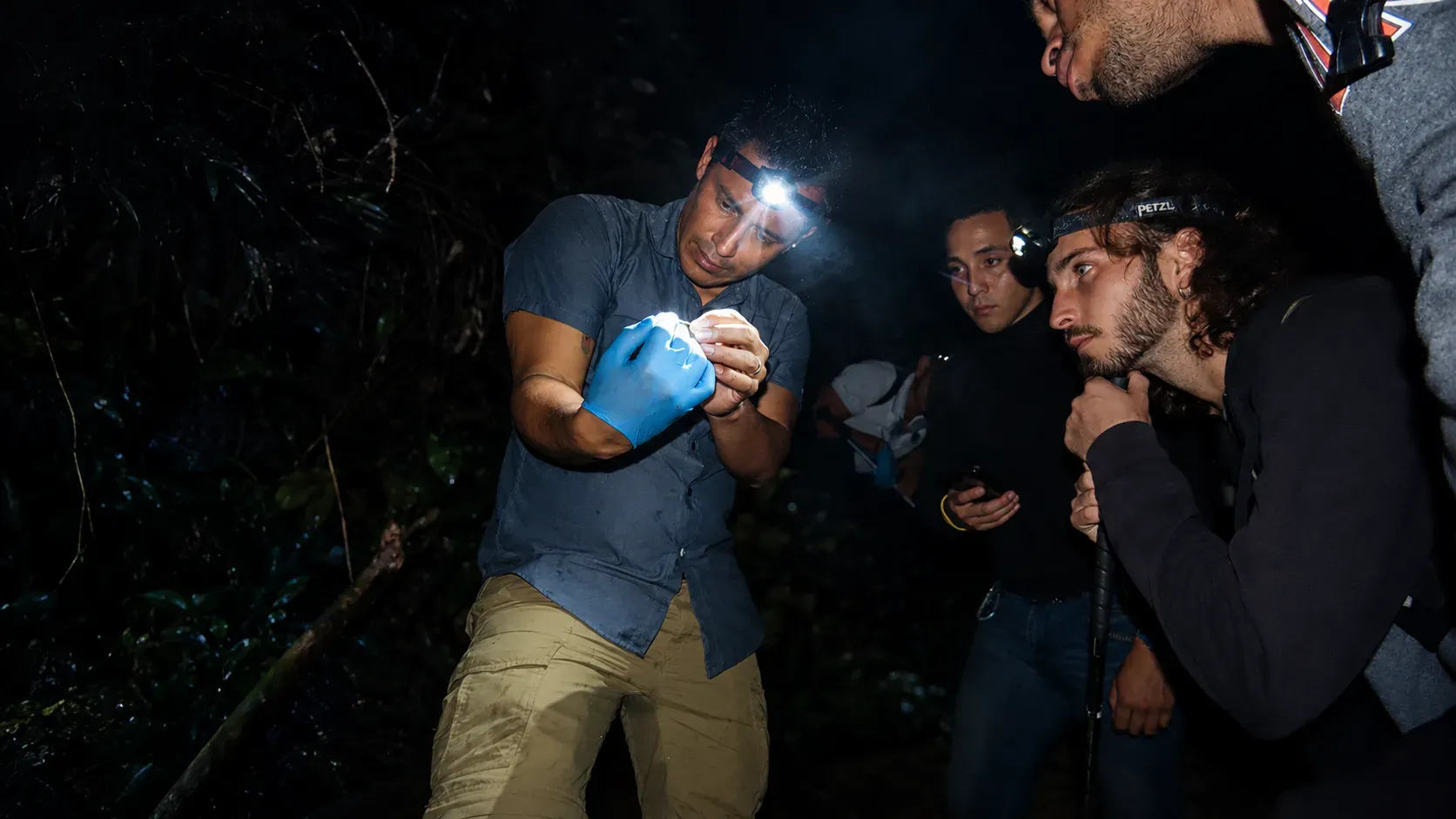 Abel Batista de noche en el bosque